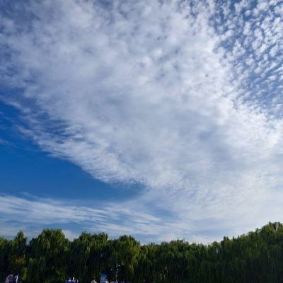 安徽省宿州市政协原副主席、一级巡视员魏建华接受审查调查