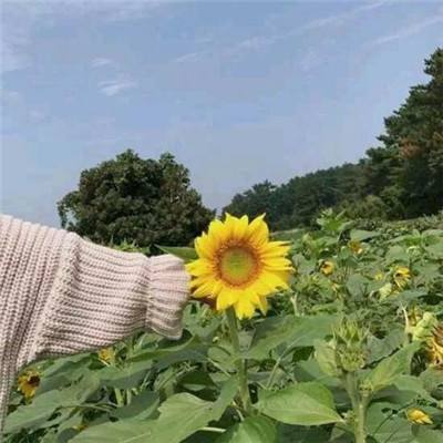 益玩剑荡八荒手游下载